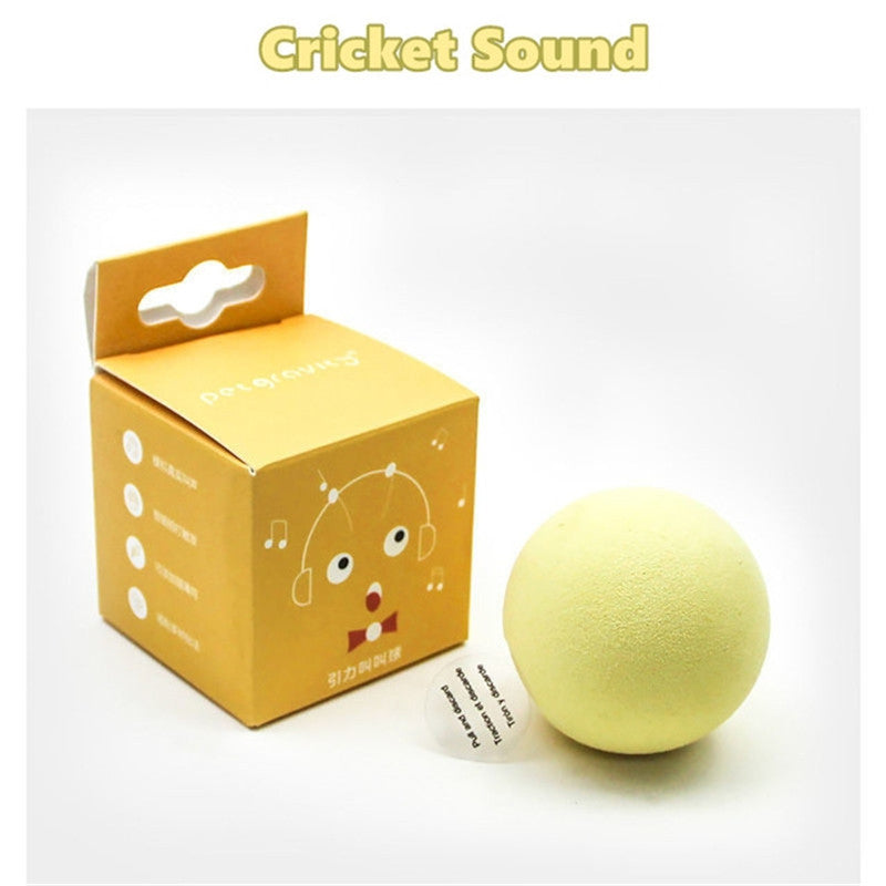 Transform Playtime with Our Smart Cat Toys Interactive Ball