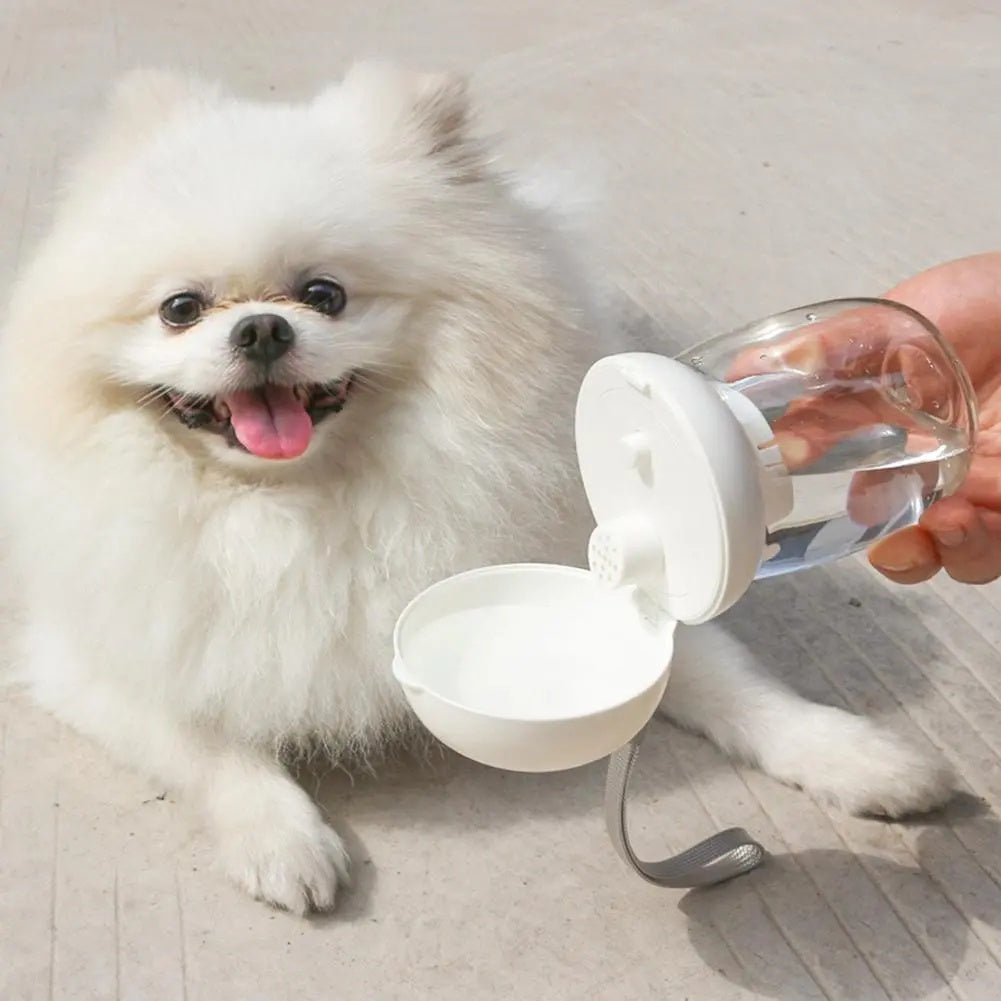 Discover the Ultimate Portable Pet Travel Water Bottle Bowl Leash