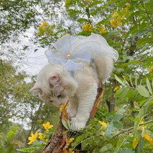 Discover the Layered Yarn Pet Leash: A Perfect Blend of Style and Comfort