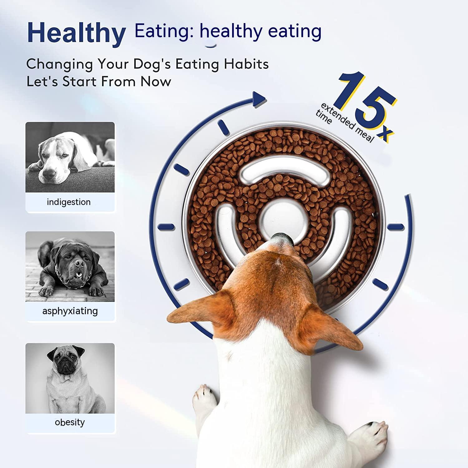 Enhancing Mealtime with the Stainless Steel Neck Protector Pet Slow Feeder Bowl