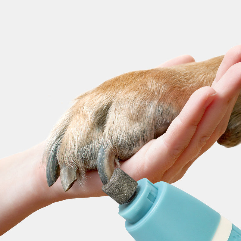e8e2cd9f70ef91b39dc27be7b6112578