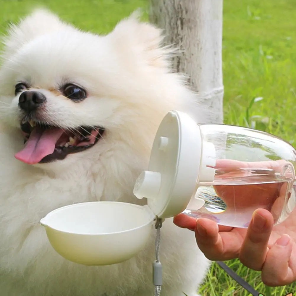 789e884fd8a9e8a3c8de52577851db24